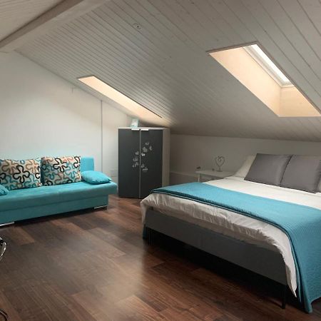 Miranda, Modern Duplex, Garden, Swimming Pool, Parking Apartamento Losone Exterior foto