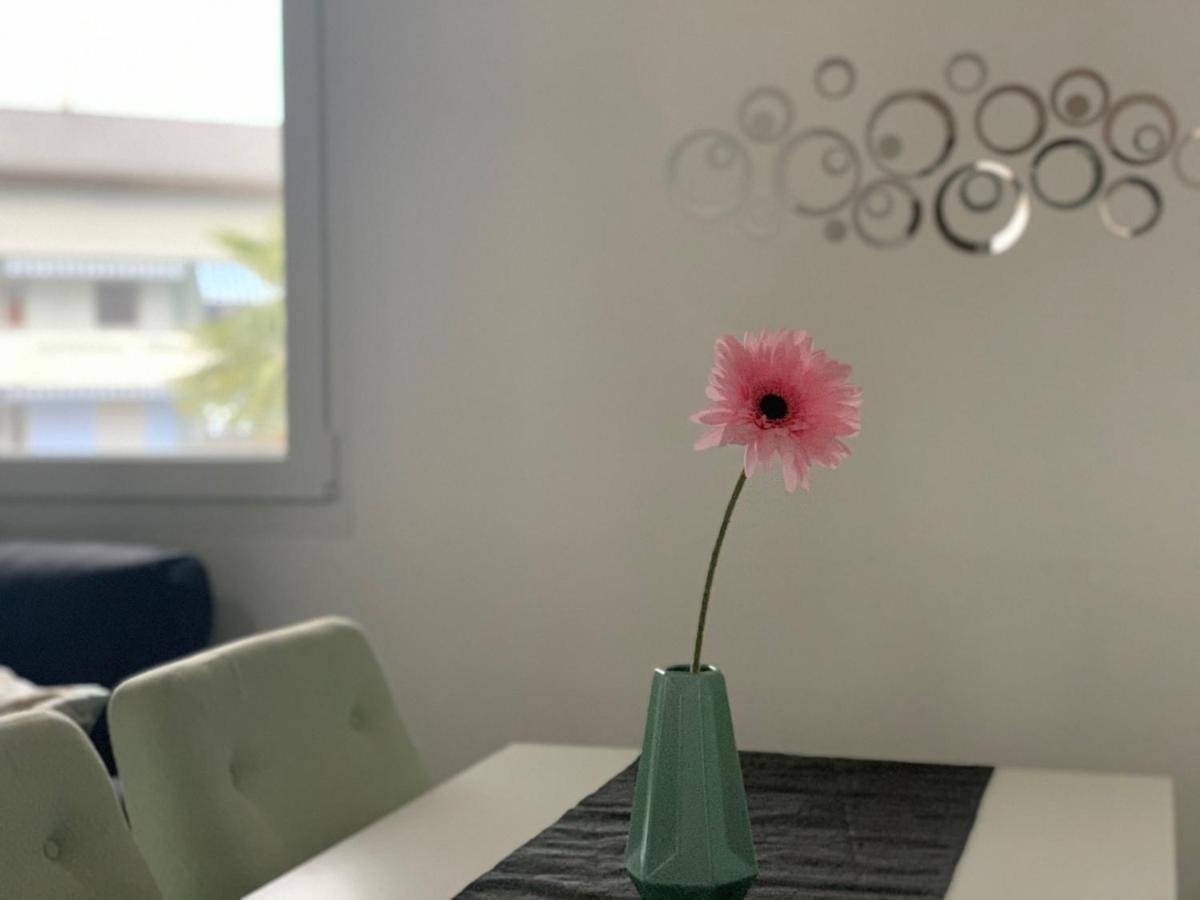 Miranda, Modern Duplex, Garden, Swimming Pool, Parking Apartamento Losone Exterior foto