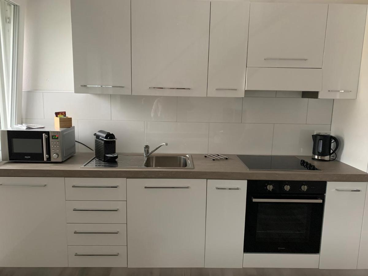 Miranda, Modern Duplex, Garden, Swimming Pool, Parking Apartamento Losone Exterior foto
